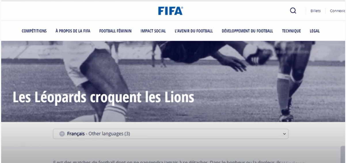 Présentation du projet Les Léopards issue du portfolio The Coach